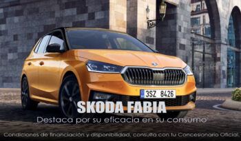 skoda- fabia