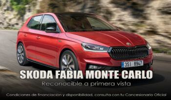 skoda-fabia-montecarlo