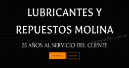 LUBRICANTES Y REPUESTOS MOLINA