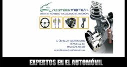 RECAMBIOS AUTO MARTOS