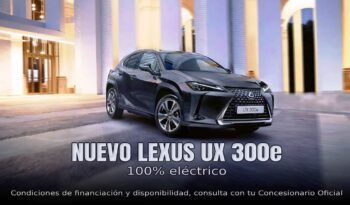 lexusux-300e